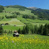 hoefe bei innermuehlwald muehlwalder tal