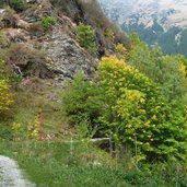 obere erzstrasse zwischen maiern und bergwerk