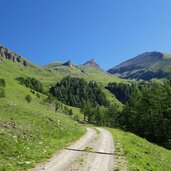 forstweg bei sengesalmen