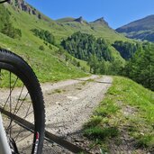 mountain bike forstweg bei sengesalmen