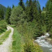 talweg zwischen muehlwald und lappach