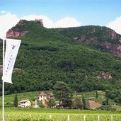 terlan siebeneich weingut