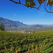 reblandschaft herbst neumarkt vill vigneti villa egna