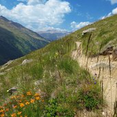 weg nr bei innere salzplatten langtaufers