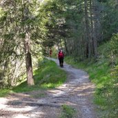 waldweg sacun nach st ulrich wanderer