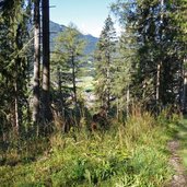 wanderweg A toblach zum innicher eck