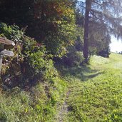 wanderweg A toblach zum innicher eck