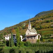 montan pinzon herbst montagna pinzano