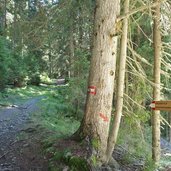 wanderweg A toblach zum innicher eck