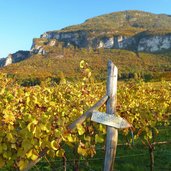 neumarkt mazon weingueter herbst wegweiser