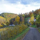 weg richtung vorbichl