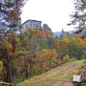 weg zu schloss katzenzungen