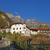 herbst weinlandschaft bei entiklar