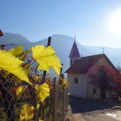 herbst weinlandschaft bei entiklar