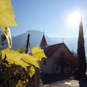 herbst weinlandschaft bei entiklar