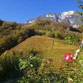 herbst landschaft bei entiklar