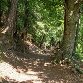 waldweg richtung maria saal