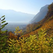 landschaft am kurtatscher weinlehrpfad