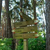 weg nr von maria saal zum hexenboedele wegweiser