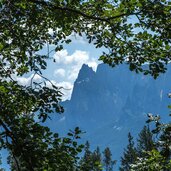 aussicht auf schlern