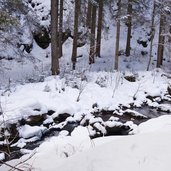 lochbach winter am bajerlsaege forstweg zur liegalm