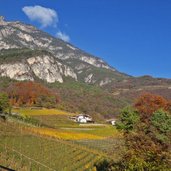 weinreben herbstlandschaft bei hofstatt kurtatsch