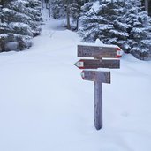 forstweg zur liegalm winter deutschnofen wegweiser