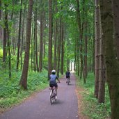 radweg zwischen muehlbach und vintl