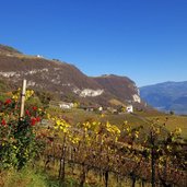 penon weinberge herbst blick richtung graun