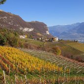 penon weinberge herbst blick richtung hofstatt und graun fr