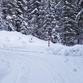 forstweg zur liegalm winter deutschnofen