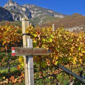 alter graunerweg wegweiser bei hofstatt