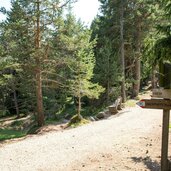 wegweiser nr richtung klobenstein waldweg