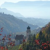 blick richtung meran und riffian ab riffianer waalweg herbst