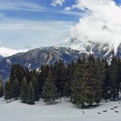 winter wanderung rodelbahn vallierteck fallierteck