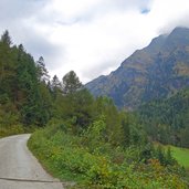 forstweg oberhalb von innerstein pflerschtal