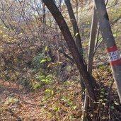 bergweg lochweg abstieg bei kurtatsch