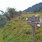 almenweg zur allriss alm