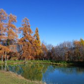 kurtatsch graun zogglersee zogglerwiese