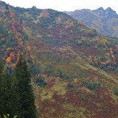 herbst heidelandschaft unterhalb wetterspitze pflersch