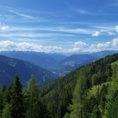 wald bei luesner tal