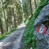 weg nr zur haniger schwaige