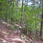 weg abstieg vellau nach dorf tirol