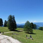 weg bei angelwiese rosengarten