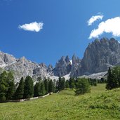 angelwiesen dahinter rosengarten mit vajolet tuerme