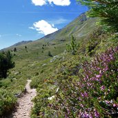 hoehenweg nr schoeneben nach haideralm