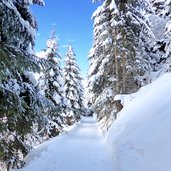 ridnauner winterwanderweg nr obere erzstrasse