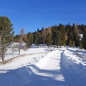 winterweg von gissman nach rittnerhorn