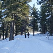 winterweg von gissmann nach rittnerhorn