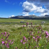 huetten und wiesen am villanderer totenweg